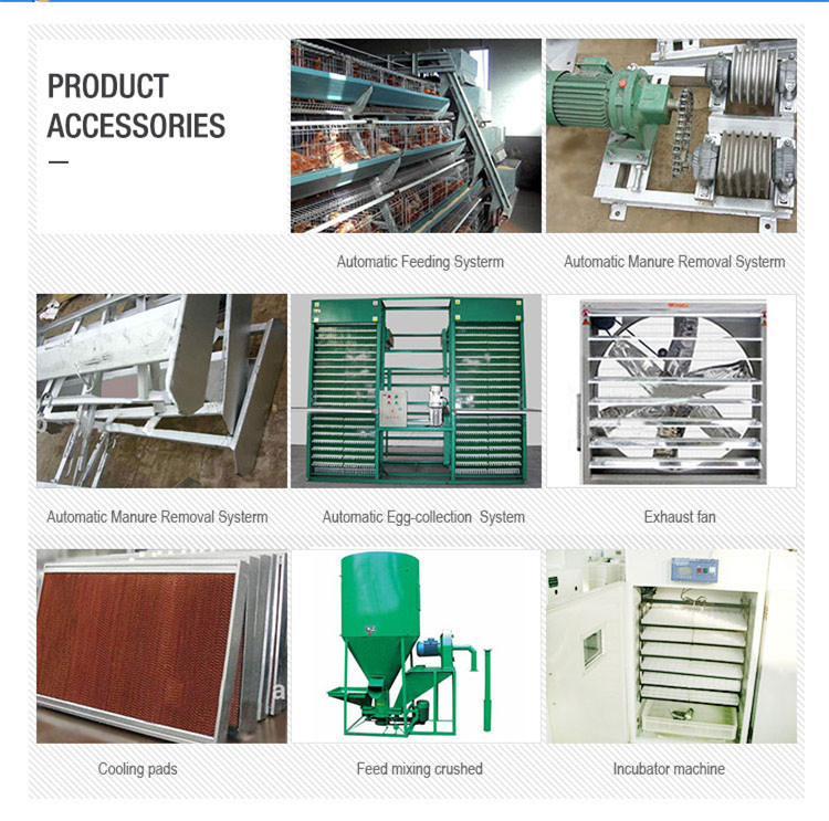 A type broiler cage accessories