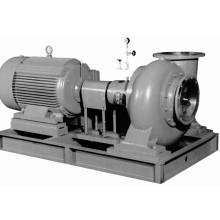 Horizontal Electrical Slurry Pump with Motor