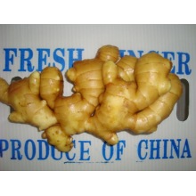 Organic fresh ginger for sale