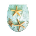 Duroplast Soft Close Toilet Seat in Starfish Pattern