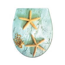 Duroplast Soft Close Toilet Seat in Starfish Pattern