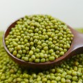 High Purity 2016 Crop Mung Bean Green Bean