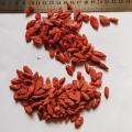 High Quality Goji Berry