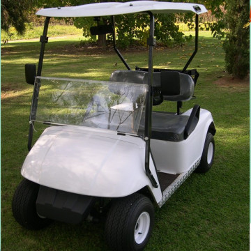 2 Sitze ezgo Lithiumbatterie Powergolfwagen