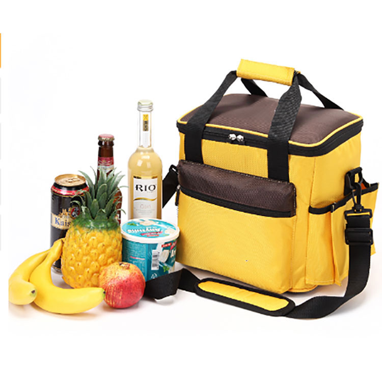 Ice Cooler Backpack