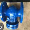 Swing Check Valve