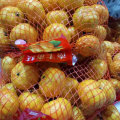 Top Quality of Fresh Honey Baby Mandarin