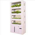 SkyPlant Garden Smart Smart Home Vegetable Machine de cultivo de verduras