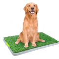 Dog Pee Pad for Potty Training