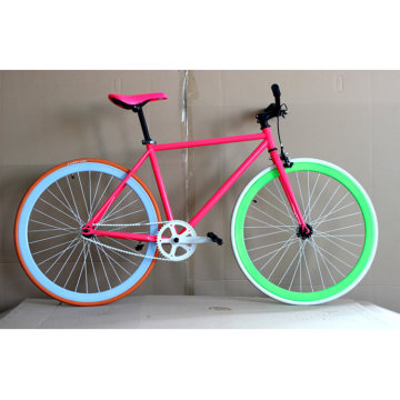 Лучший продавец Colorful Fixie Bike Road Bicycle (FP-FGB004)