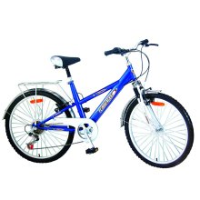 5 Speed ​​City Bike Front Suspension