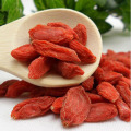 Medlar Lbp USDA Nof Bio Goji