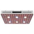 Planta interna COB Grow Light 3000W