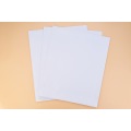 Enveloppe de poche blanche pour film X Ray