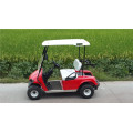 2 Seater Gasoline or Gas Powered Golf Carts