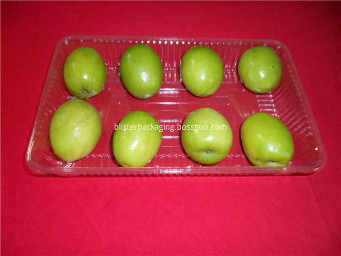 Disposable Fruit Plate