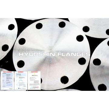 Stainless Steel Flange Forging casting 304 316