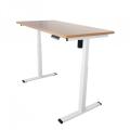 Electric Adjustable Standing Computer Furniture Desk