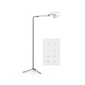 Wifi touch smart floor lamp