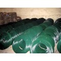 Alambre recubierto de PVC electro galvanizado del hierro