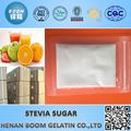 Stevia sugar plant