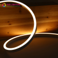 24V Latest outdoor decoration LED Neon IP68 Waterproof