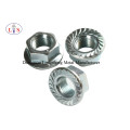 K-Lock Nut Cage Nut Flange Nut in Good Quality