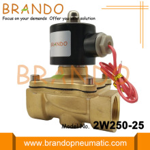 DN25 Driect Drive Solenoid Valve Brass Body 2W250-25