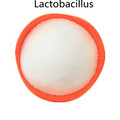 suplemento nutricional Alimentos Probióticos Lactobacillus em pó
