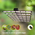 Светодиодные ленты Grow Light 1000 Вт для растений