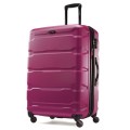 Custom travel trolley case luggage check box