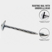 Professional Roofing Nails Umbrella Nails Manufacture From China