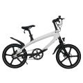 36v peadal strength and electric assistance electric bike