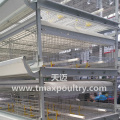 Broiler Cage System for Poultry Farming