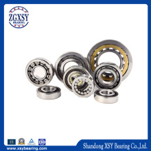 Nu 1024 Cylindrical Roller Bearing Nu1024 with Thinner Ring