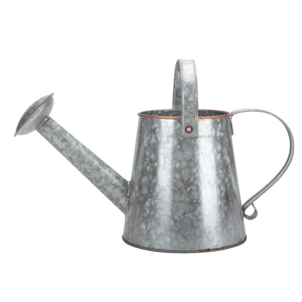 Metal Watering Can Small