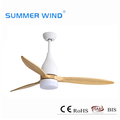 New items pure copper motor ceiling fan light