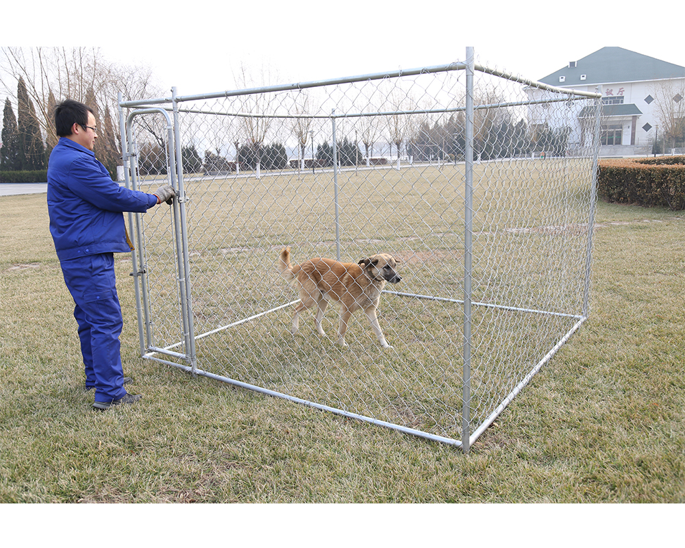 The Dog Kennel