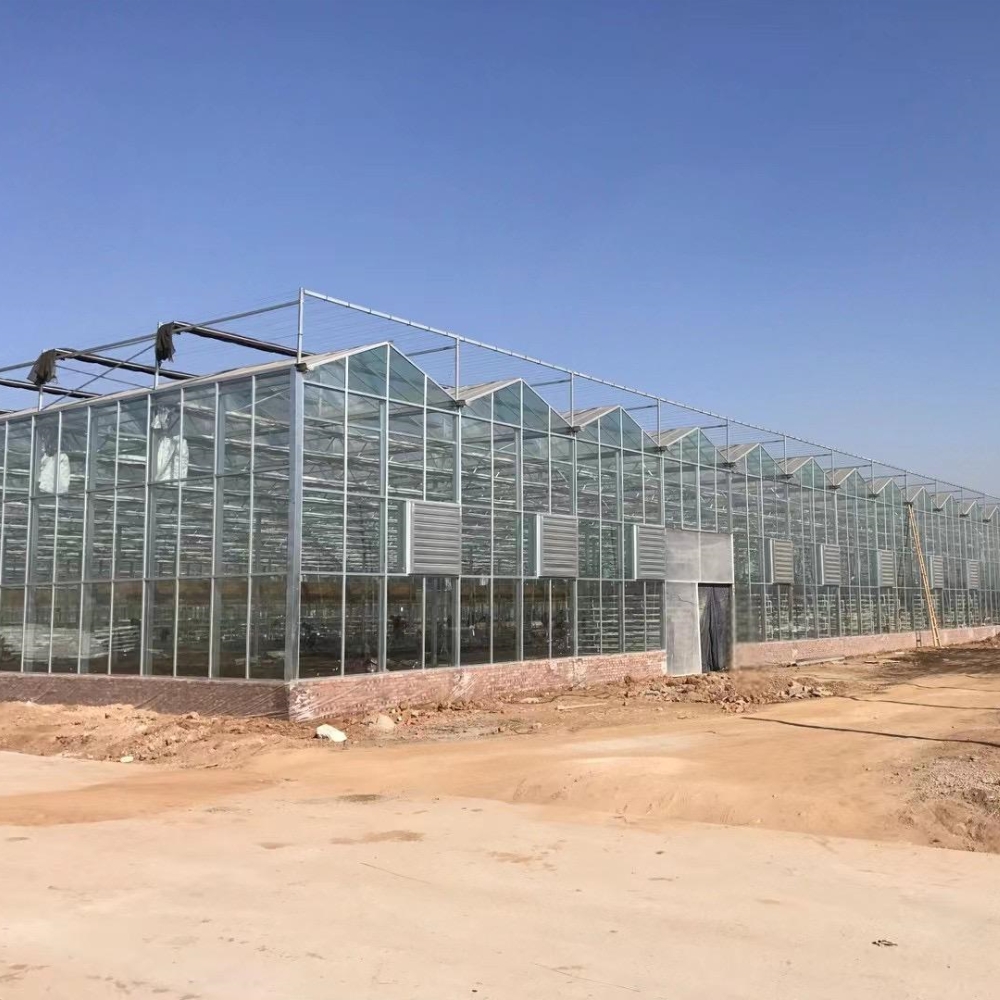 Venlo PC Greenhouse Venlo PC Greenhouse