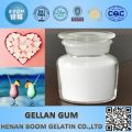 Gellan Gum for Jelly