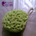 Aloes Bath Sponge