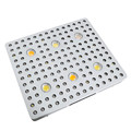 For Sale Horticultural LED Lights Lamp