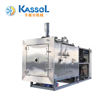 Pilot Scale Vacuum Freeze Drying Machine