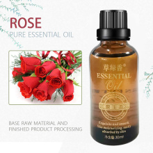 Luxury Aroma Body Essential  Oil
