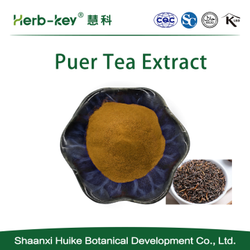 Haute Qualité Puer Tea Erh Thé Erh Etract