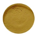 Compre ingredientes activos en línea Cordyceps Extract Powder