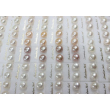 Freshwater Pearl Stud Earrings (ER1438)