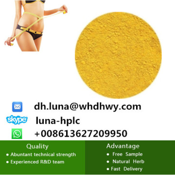 Fat Loss Powder 2, 4-Dinitrophenolat / 2, 4-Dinitrophenol DNP CAS 51-28-5