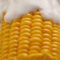 Milk Corn