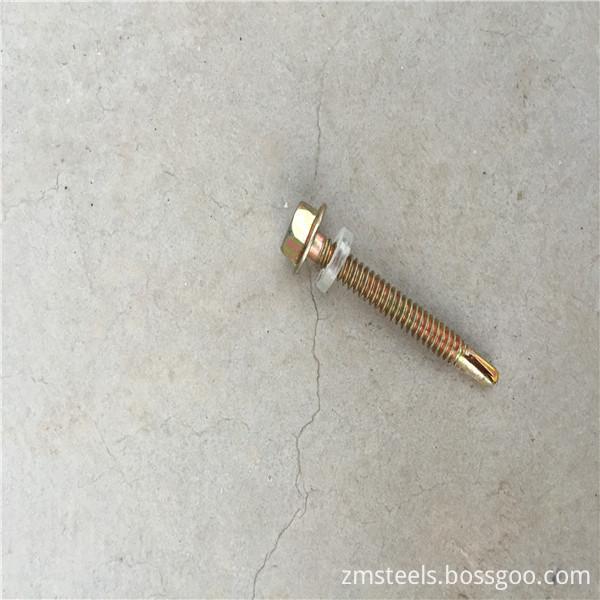 Stainless Steel Self Tapping Screw